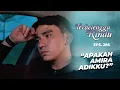 Download Lagu Firasat Kuat Elang Soal Identitas Amira Sebagai Adiknya | TERBELENGGU RINDU | EPS. 286 (2/3)