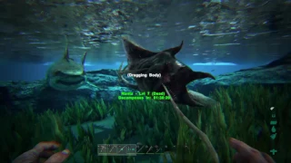PS4 ARK Manta Ray