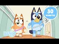 Download Lagu Bluey's Sunny Spring Tales ☀️ 🌼 | 30 MINUTES of Bluey Stories | Bluey