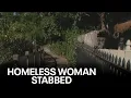 Homeless woman stabbed to death near Santa Rosa shopping mall KTVU