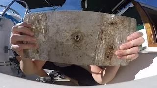 #41: The Cause of our Rotten Stringers