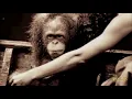 Sacred Earth -Breathing Space