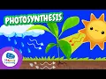 LEARN ABOUT PHOTOSYNTHESIS Educational s for Children HappyLearningENG