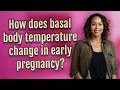 How does basal body temperature change in early pregnancy