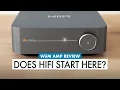 HiFi Money SAVER What To Know BEFORE You Buy WiiM Amp Review