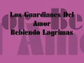 Bebiendo Lagrimas