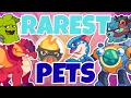 I Testesd The Rarest Pets In Prodigy Prodigy Math Game