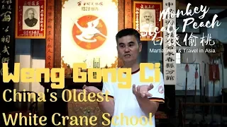 oldest white crane school in yong chun weng gong ci masters of fujian ep5
