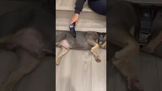 Found His Ticklish Spot During Massage 