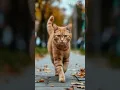 Download Lagu #minions #remix #cat #shortvideo #catlover #youtubeshorts #ytshorts #youtube #funny #music #minion