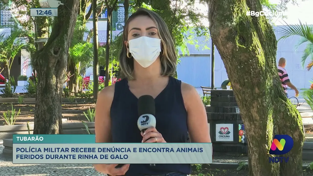 Polícia Militar recebe denúncia e encontra "rinha de galo" em Tubarão