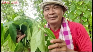 ต้องทำ ต้องดูล้างสาร(พิด)หสยเกลี้ยง