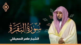 سورة الفاتحة والبقرة مكررة الشيخ ماهر المعيقلي 