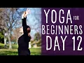 Yoga For Beginners At Home 30 Day Challenge 15 min Day 12