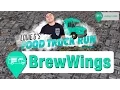 Louie G s Food Truck Run BrewWings