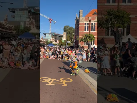 La camaraaaa - Karcocha en Australia