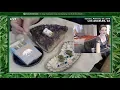 DC420LA Cornerstone Collective plus Cannabis in California Politics