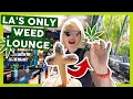 Tour of LA s ONLY Weed Smoking Lounge - THE ARTIST TREE