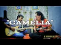 Download Lagu CAMELIA - H RHOMA IRAMA