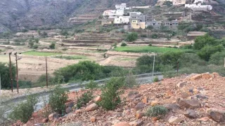 من ارضنا الجميله 