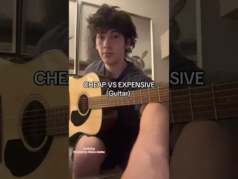 Cheap vs expensive #guitar #aliceandchains