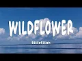 Download Lagu Billie Eilish - WILDFLOWER (Lyrics)