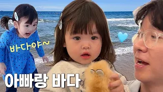엄마 뱃속에서 왔던 부산 2년 만에 다시 왔어요. 23개월 재이의 부산여행 (박수홍 행복해다홍)