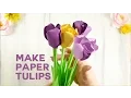 Pretty Paper Tulip Flower Tutorial Rolled Flowers