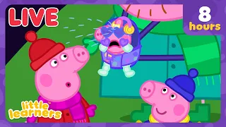 🔴 LIVE! Peppa Pig Learns About Life With Baby EVIE! 🍼🐷 | Peppa Pig Tales Full Episodes