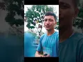 Download Lagu Jomblo tu enak to....