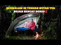 CAMPING HUJAN DERAS,MEMBANGUN RUMAH PELASTIK BERSAMA ISTRI,SAAT CUACA HUJAN LEBAT,ASMR,RAIN