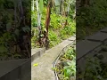 Download Lagu Universe Restro and Kehi Keha Resort ## moutainview ## Natural beauty