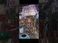 Download Lagu Kizhambur Sri Vadakkuvasal Selvi Amman koil Maha Kumbabishekam (02.09.2025-04.09.2025)
