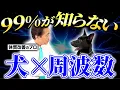Download Lagu 【驚愕】わが愛犬と〇〇の相性を測ってみたら、とんでもない結果に…！？