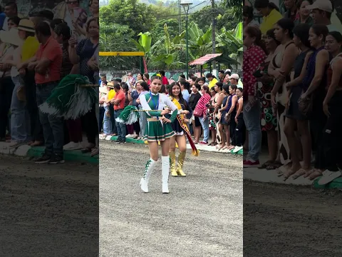 Desfile cívico