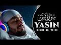 Download Lagu Surah Yasin | Yaseen | Mishary Rashid Alafasy | Ep-28