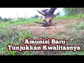 Download Lagu PIKAT BARU PERDANA B4KU H4NTAM🔥🔥 || SAMPAI TEKUKUR LIAR MUNDUR TERATUR!!!