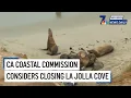 Sun Aug 16 CA Coastal Commission considers closing La Jolla Cove NBC 7 San Diego