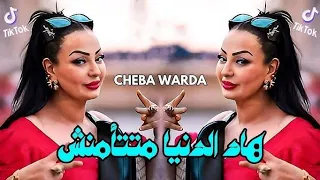 Cheba Warda Dj Badro هاد الدنيا متتأمنش 2025 Remix 