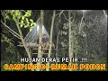 Lagu Diguyur hujan deras sepanjang malam dirumah pohon, tidur nyenyak sampai pagi, relaxing rain sound