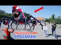 Download Lagu Gawat!! Kita Diserang Infected Sky Spiderman Jahat?? | Mikael Family