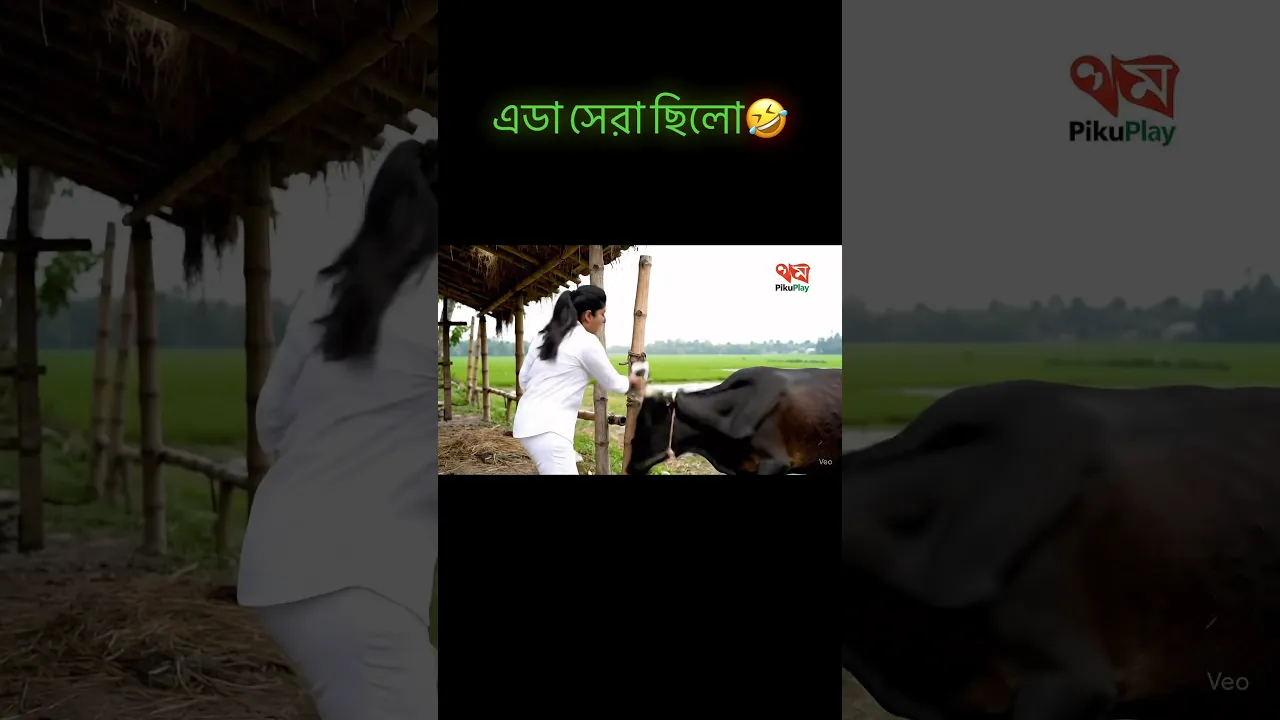 গরু থেকে সাবধান