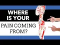 Is Your Hip Pain Coming From Your Back or Hip How to Tell