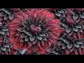 Download Lagu Frequency for Restless legs Syndrome - Cure Healing Sound Therapy