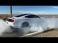 Shelby BurnOut GT350 Voodoo 5 2