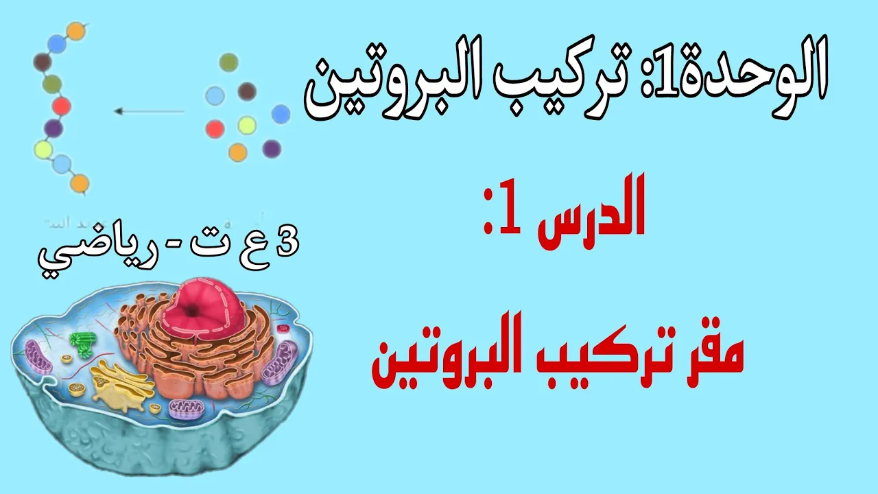 👑الوحدة 1: تركيب البروتين✍🏻الدرس1: مقر تركيب البروتين🍖[علوم تجريبية+رياضيات] بسم الله سنبدأ رحلتنا