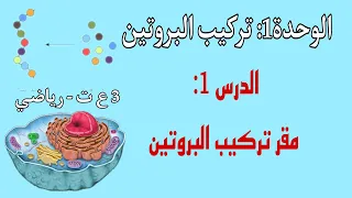 الوحدة 1 تركيب البروتين الدرس1 مقر تركيب البروتين علوم تجريبية رياضيات بسم الله سنبدأ رحلتنا 