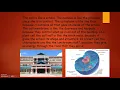 Plant and Animal Cell Lesson Plan