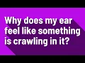 Why does my ear feel like something is crawling in it