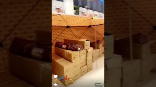                              دندنها